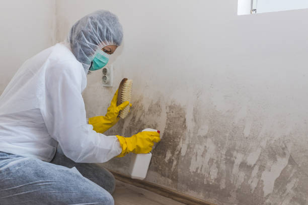 Best Mold Removal Process  in Fort Myers, FL